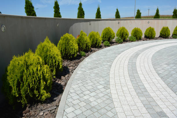 Best Best Driveway Pavers  in East Valley, NV